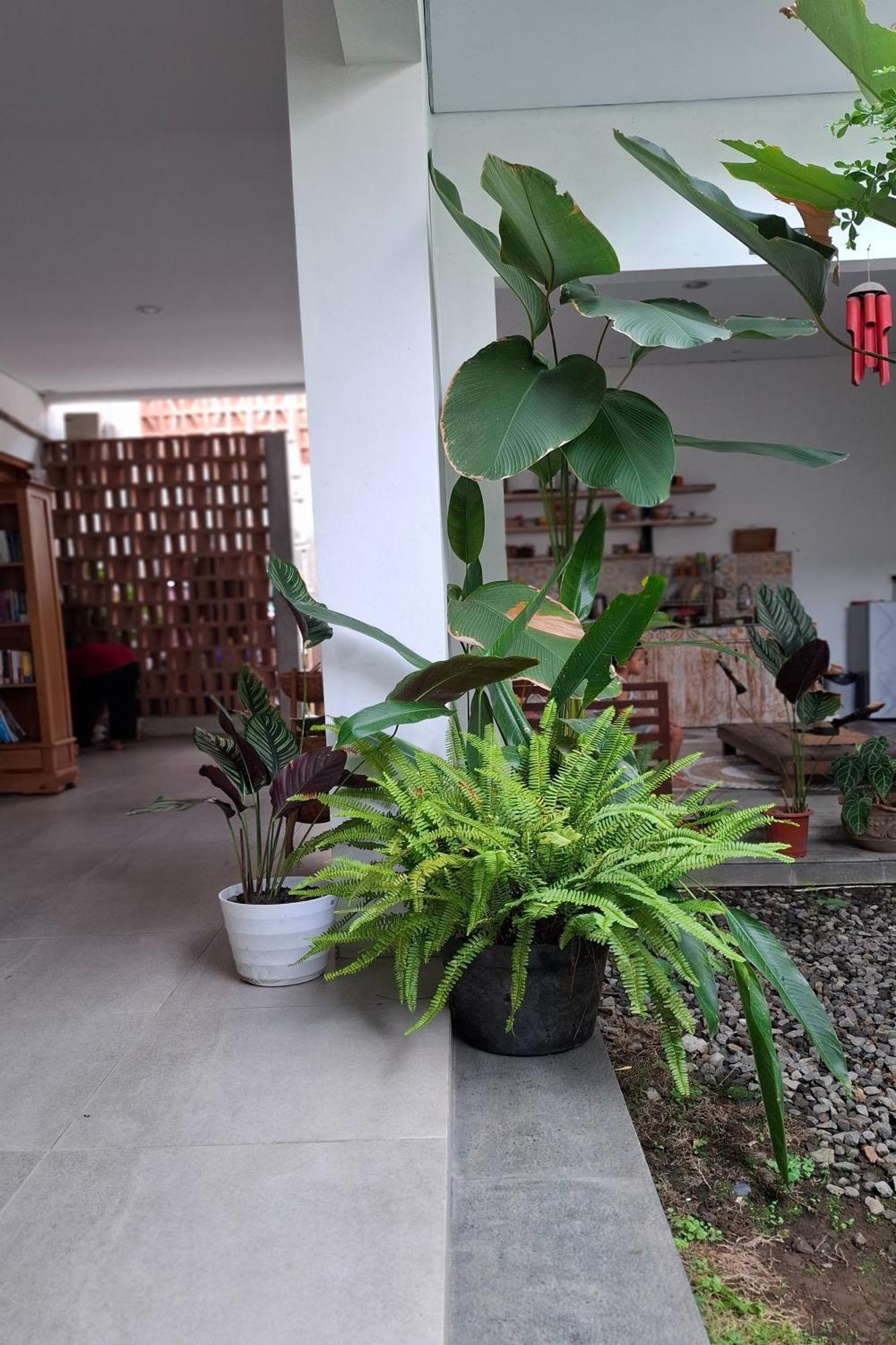 Apartmán Bring In House Yogyakarta Exteriér fotografie